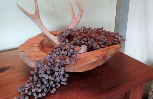 Nijega Bed & Breakfast | B&B De Flecht - De Skries