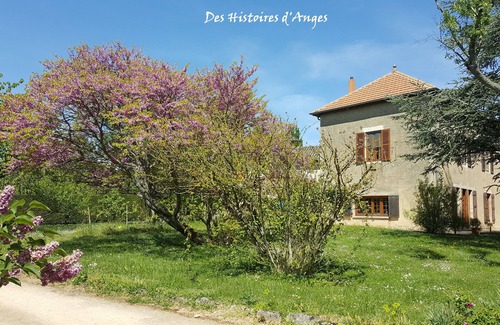 Tournus House | B & B Des Histoires d'Anges/Couette et Tartines Room