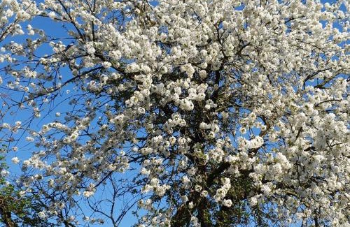 Venhorst Bed & Breakfast | B&B en vakantiehuis Helene Hoeve