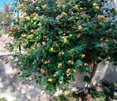 Ischitella Bed & Breakfast | B&B La Torre Antica