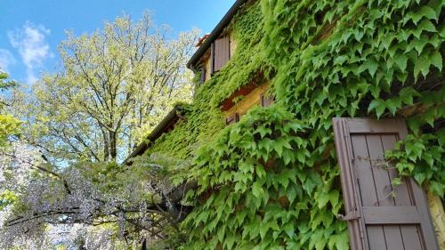 Molezzano Bed & Breakfast | B&B Le Due Volpi