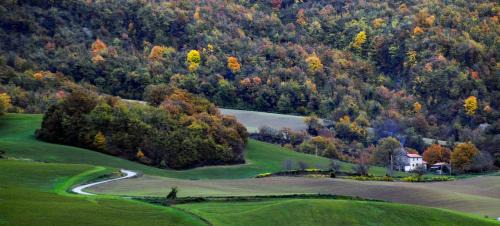 Premilcuore Bed & Breakfast | B&B Luna e Stelle