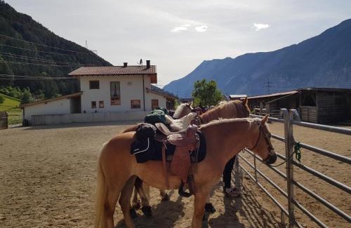 Silz Bed & Breakfast | B&B Margit's Ranch Urlaub am Pferdehof