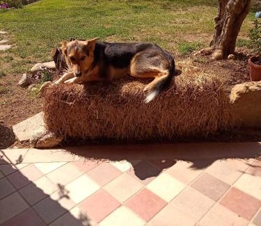 Piazzo House | B&B Naturin - Eco Farm