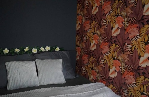 Nijmegen-Centrum Bed & Breakfast | B&B Noviomagus