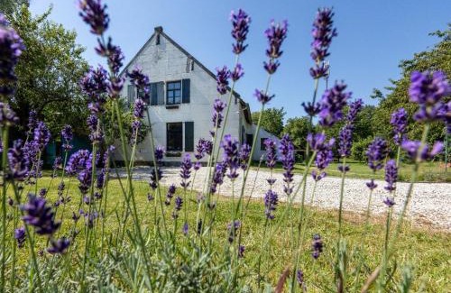 Baexem Bed & Breakfast | B&B Op de Soursehof