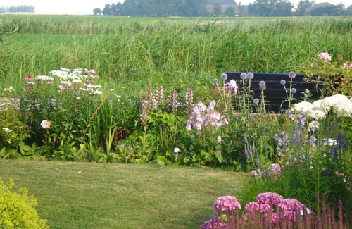 Bollingawier Bed & Breakfast | b&b op de vlakte