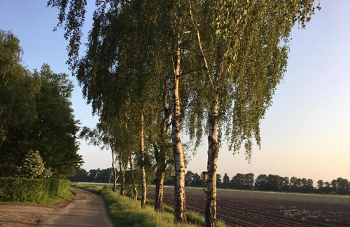 Soerendonk Bed & Breakfast | B&B Op 't Eikenschoor