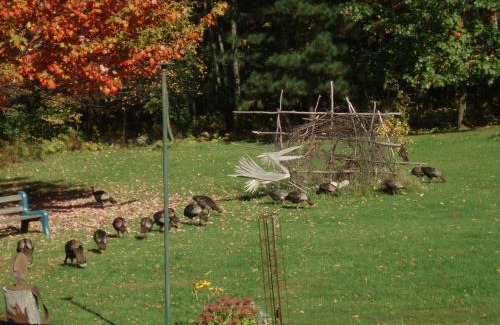 Sutton Bed & Breakfast | B&B Pinorama