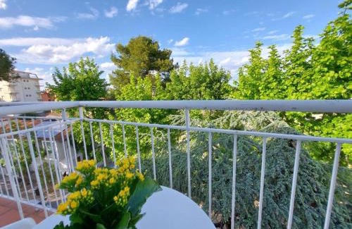 Riccione Bed & Breakfast | B&B Riccione SENZA PENSIERI