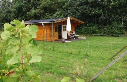 Sellingen Bed & Breakfast | B&B Symphony