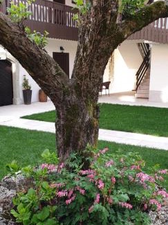 Lesce Bed & Breakfast | B&B Vidmar, Lesce-Bled