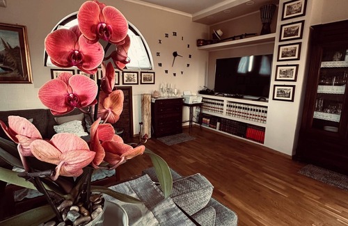 Lake Bracciano Apartment | B & b villa Aurea