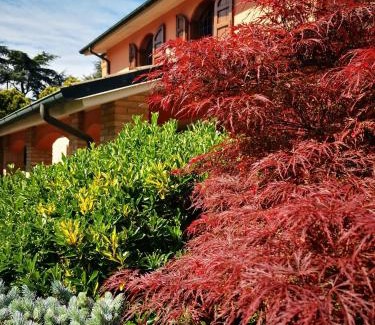Vaciglio Bed & Breakfast | B&B Villa Argiolas