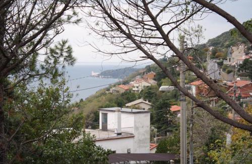 Roiano-Gretta-Barcola-Cologna-Scorcola Bed & Breakfast | B&B Villa Inn
