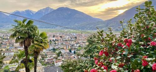 Domodossola Bed & Breakfast | B&B Villa Moro - Family House