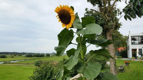Elst Bed & Breakfast | B&B Weids