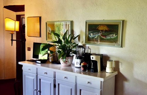 Castellina in Chianti House | BACCO- Authentic house with STUNNING VIEW - S. GIMIGNANO/SIENA/FIRENZE