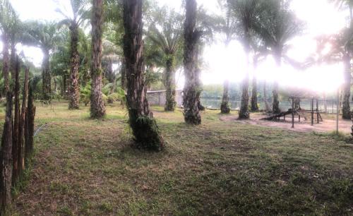 Palian Other | Baan Suan Na Nin Camping