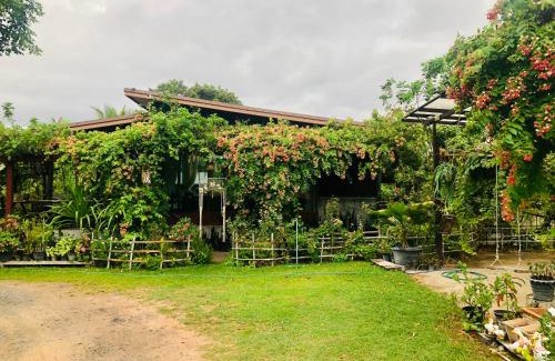 Prasat Resort | Baan Thung Home Stay