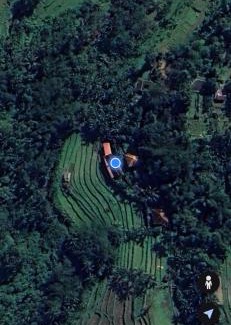 Penebel Cabin | Babahan Farmstay