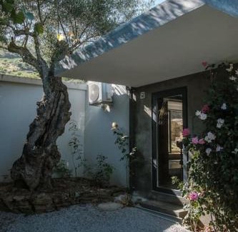 Sao Joao da Pesqueira House | BABhouse Villa Jardim das Oliveiras