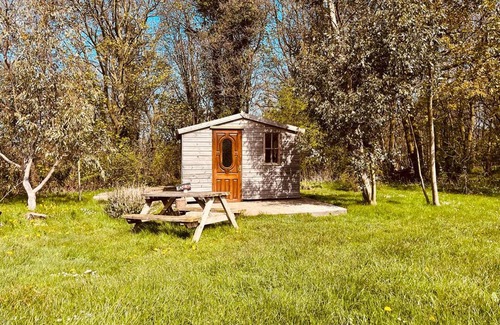 Guisborough Cabin | Baby Moon