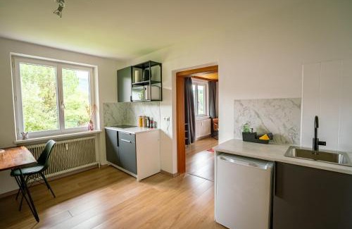 Schoerfling am Attersee Apartment | BacherlHouse - Apt Sickingerbach