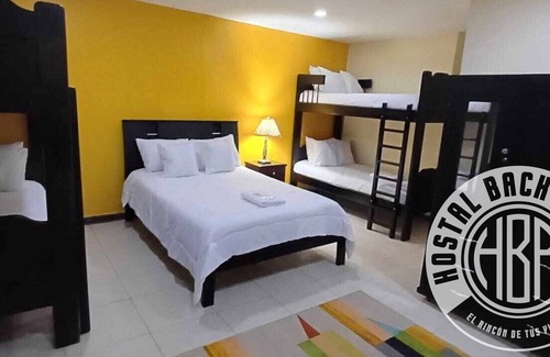 Ibarra Hotel | Back Packer