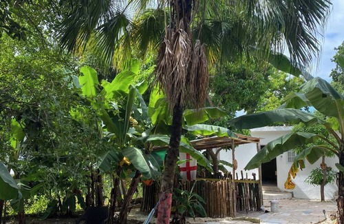 Mango Walk Apartment | Backpackers Hostel with AC and WiFi in Montego Bay