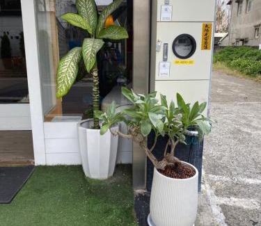 Xiluo House | Backstreet Inn