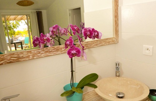 La Saline Les Bains Bed & Breakfast | Badamier room - sea view