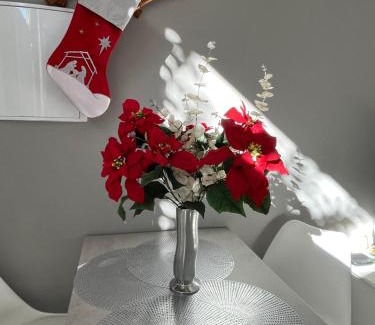 Old Town Baeza Apartment | Baeza aloja