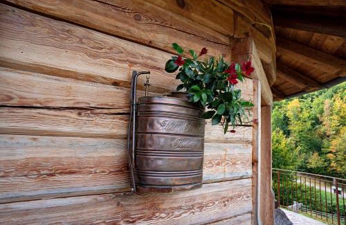 Arsie Ski Chalet | Baita Chalet Alabama