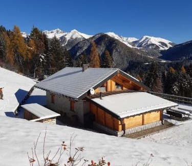 Pieve Tesino Ski Chalet | BAITA ELIO - 022142-AT-010446