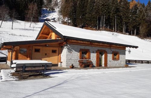 Pieve Tesino Ski Chalet | BAITA ELIO - 022142-AT-010446