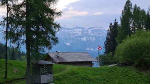Siror (tn) Ski Chalet | Baita Pra Petina Pale di San Martino