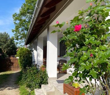 Bakonykuti House | Bakonyi Vadász Háza