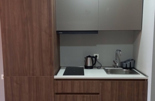 Bakuriani Apartment | Bakuriani Crystal Loft 406