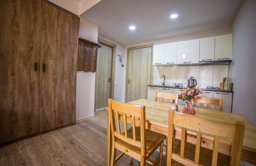 Bakuriani House | BAKURIANI PLAZA B-217