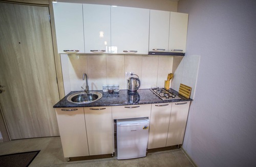 Bakuriani House | BAKURIANI PLAZA B-217