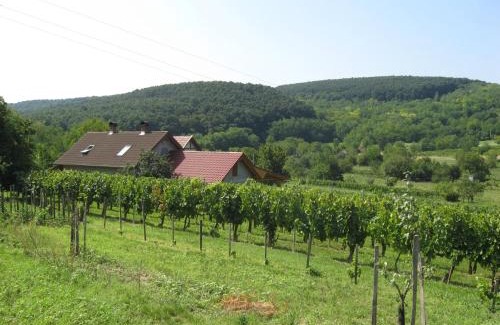 Balatonlelle Apartment | Balatonlelle-Kishegy