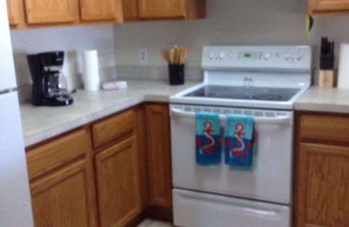 Ortonville Condo | Bald Eagle All Sports Lakefront 2 BR Condo