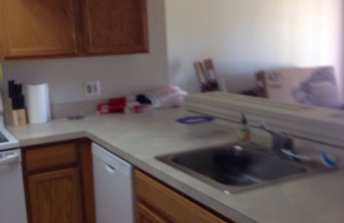 Ortonville Condo | Bald Eagle All Sports Lakefront 2 BR Condo