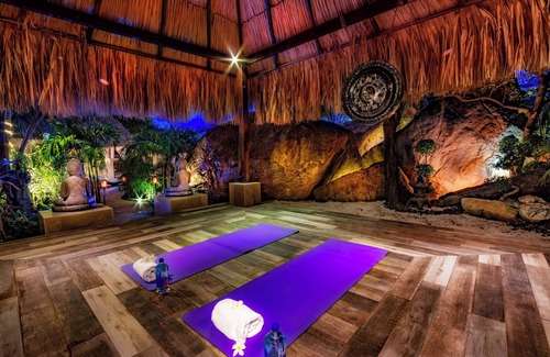 Noord Villa | Bali-style villa: indoor and outdoor pool, cinema, cave, yoga, gym & beach court