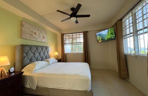 Picard Apartment | Balisier Apartments - Apt #1