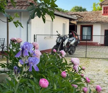 Sremska Mitrovica Apartment | Balkan