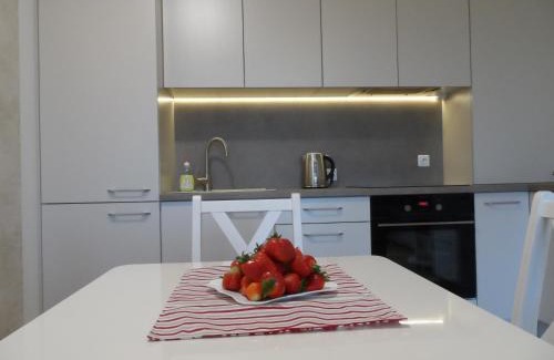 Palanga Apartment | Balte central apartments