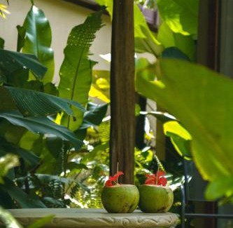 Las Horquetas Hotel | Bamboo River Lodge