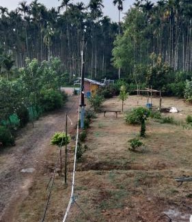 Mudigere House | Bamboo river view homestay